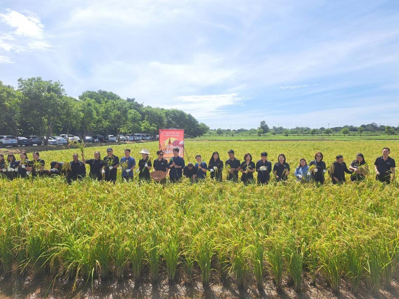 ภาพประกอบที่ 4