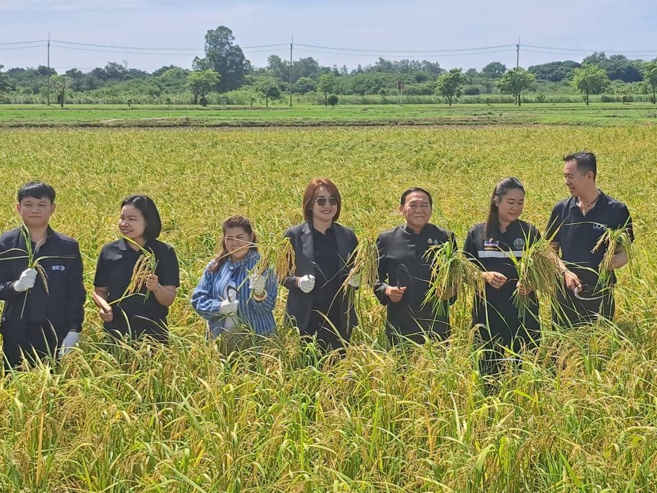 ภาพประกอบที่ 5