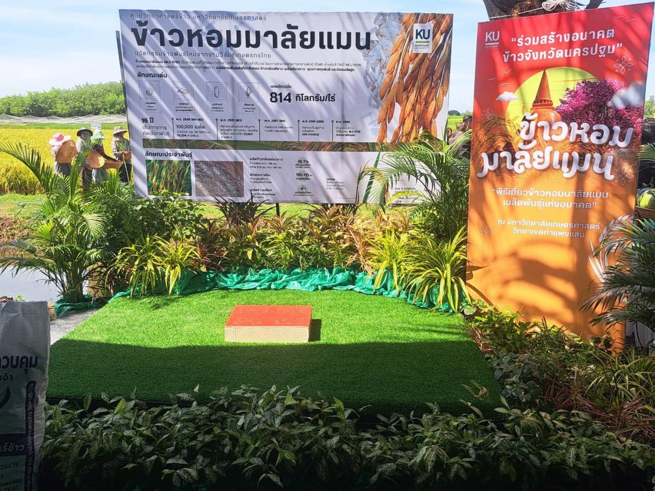 ภาพประกอบที่ 7