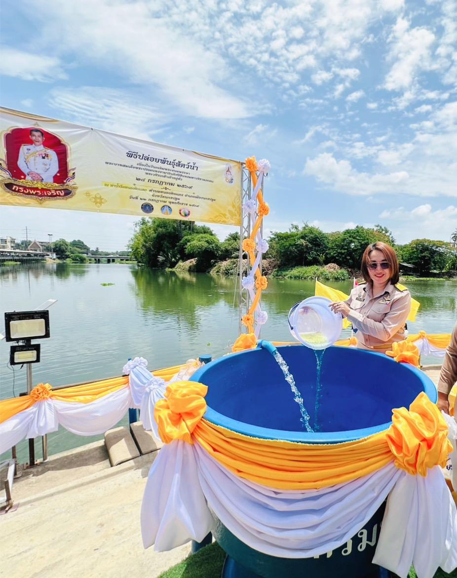 ภาพประกอบที่ 6