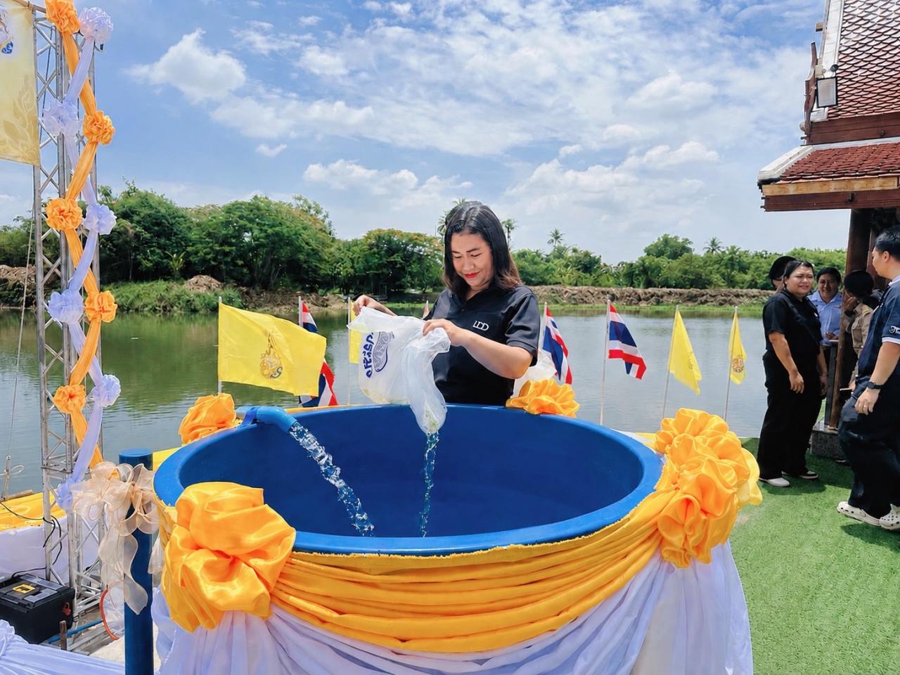 ภาพประกอบที่ 8