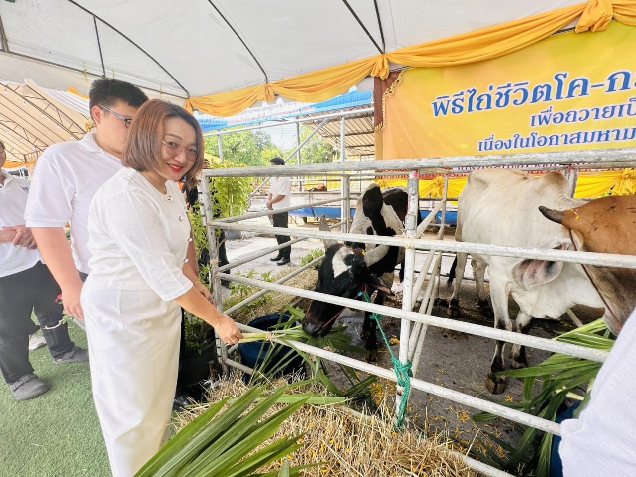 ภาพประกอบที่ 4