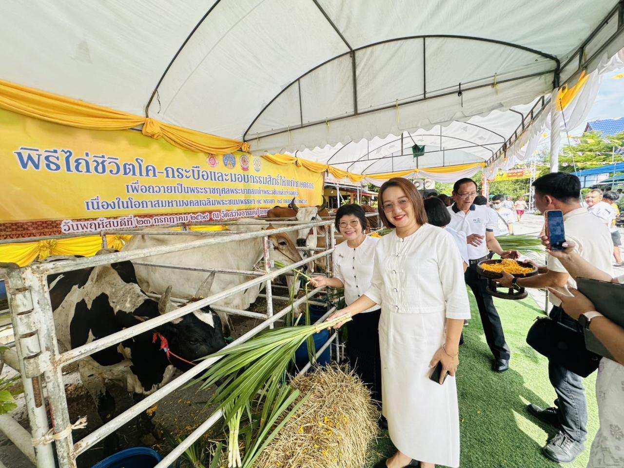 ภาพประกอบที่ 5