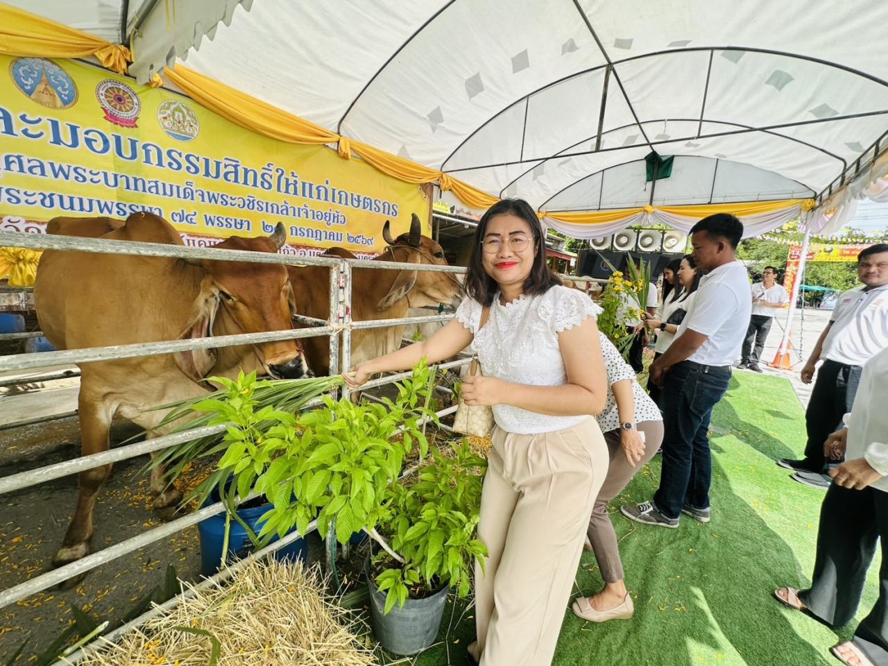 ภาพประกอบที่ 6