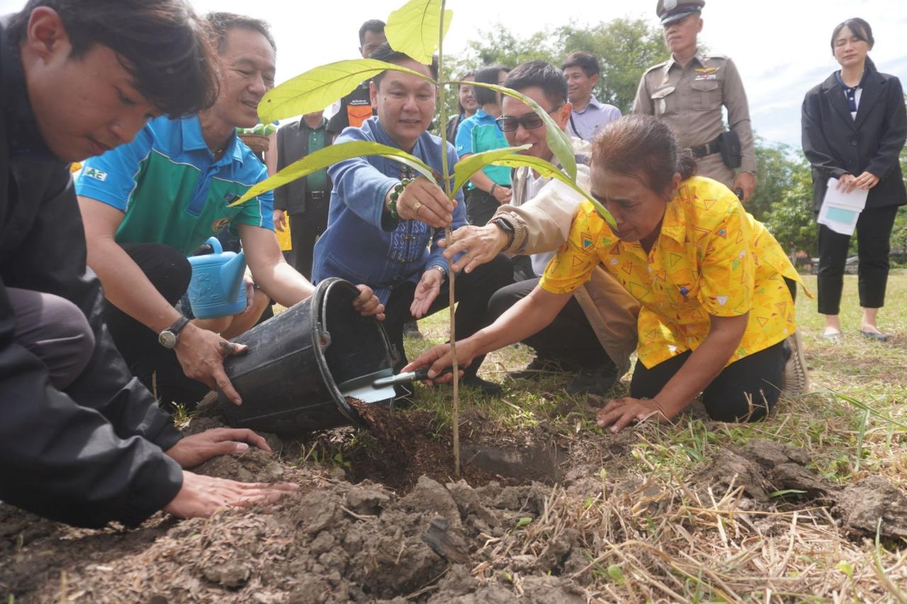 ภาพประกอบที่ 4