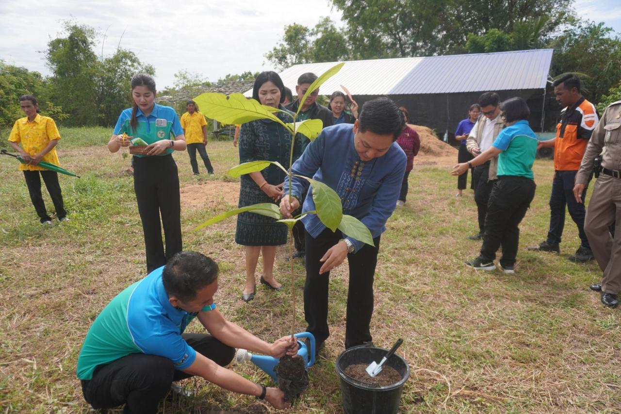 ภาพประกอบที่ 3