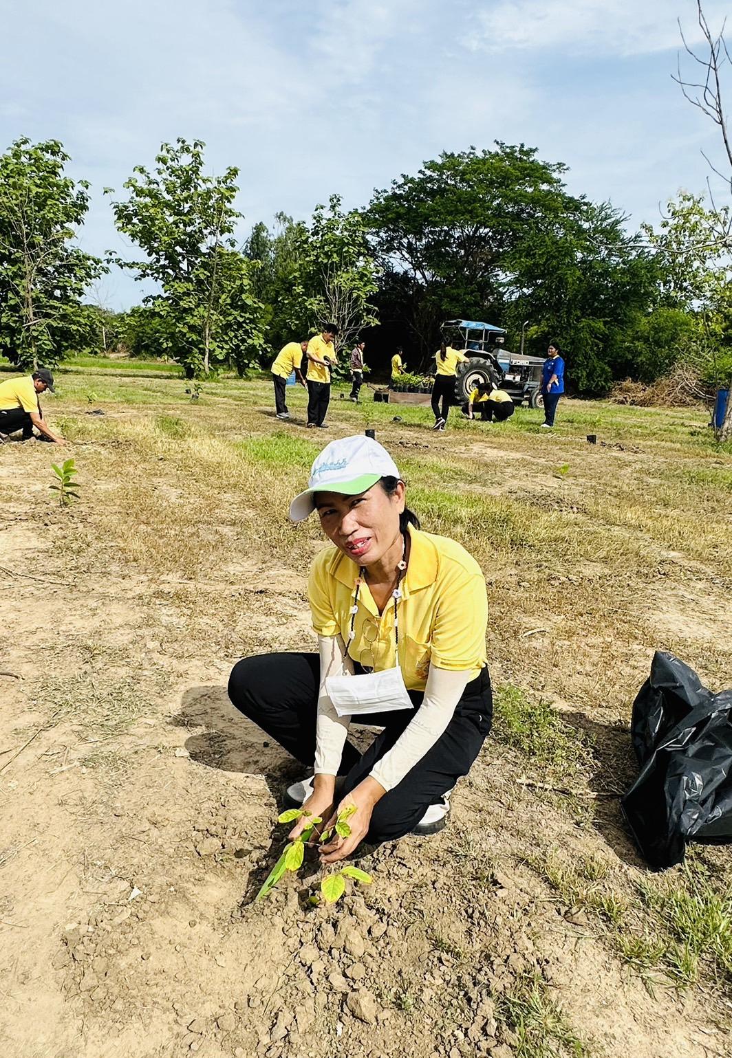 ภาพประกอบที่ 11