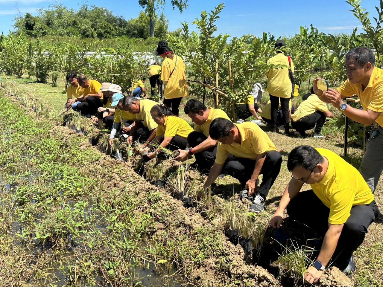 ภาพประกอบที่ 8