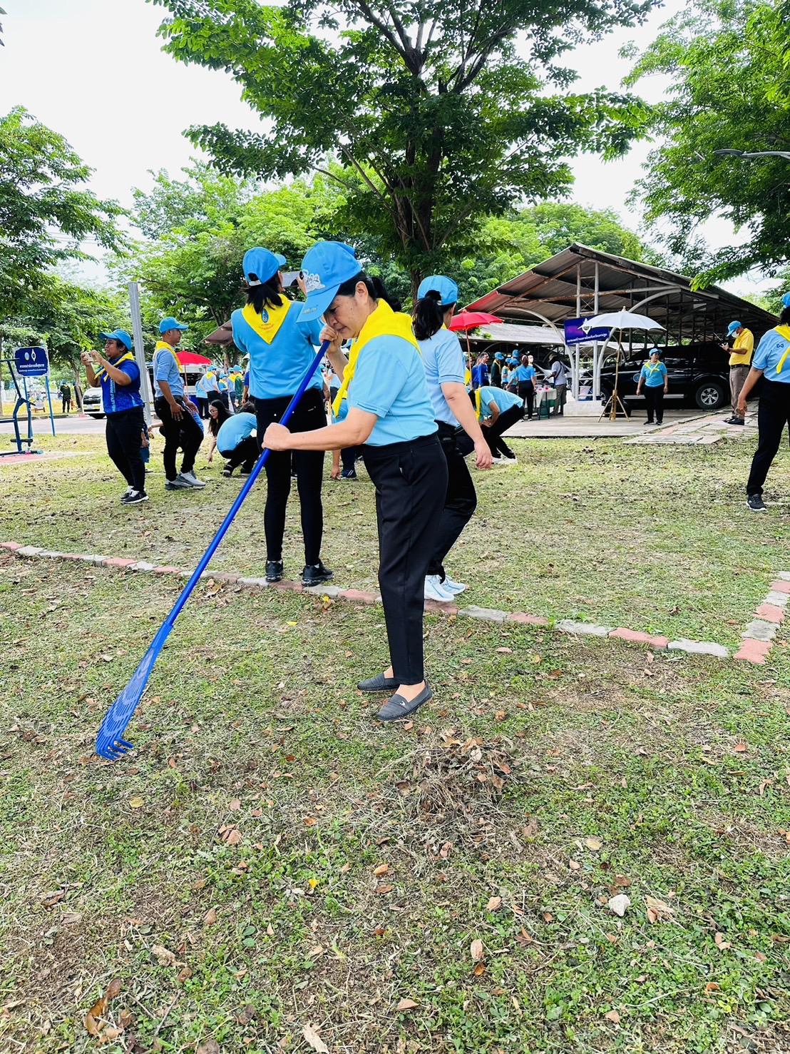 ภาพประกอบที่ 6