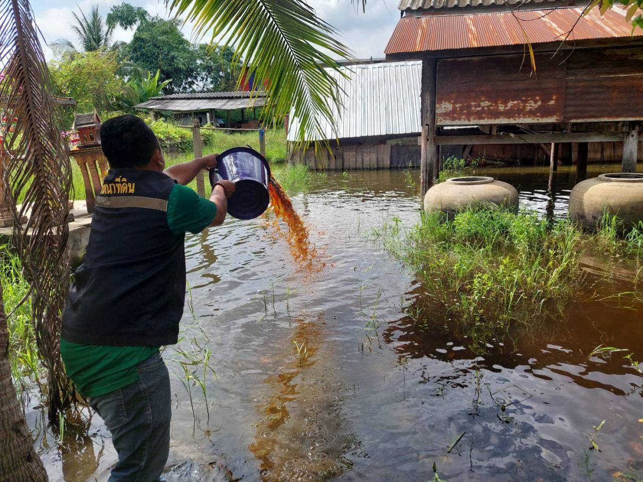 ภาพประกอบที่ 1