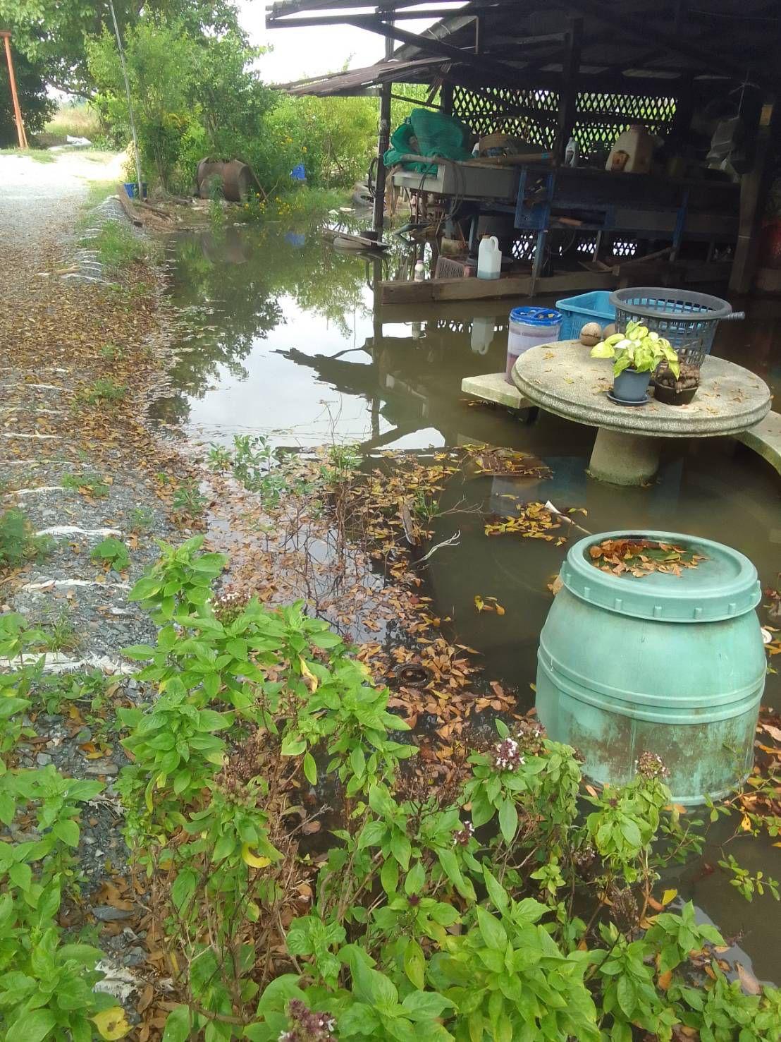 ภาพประกอบที่ 6