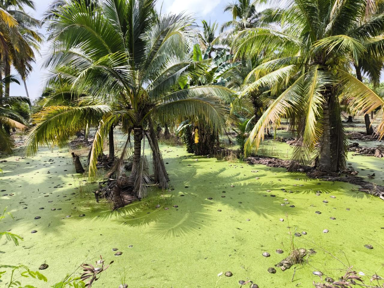 ภาพประกอบที่ 10