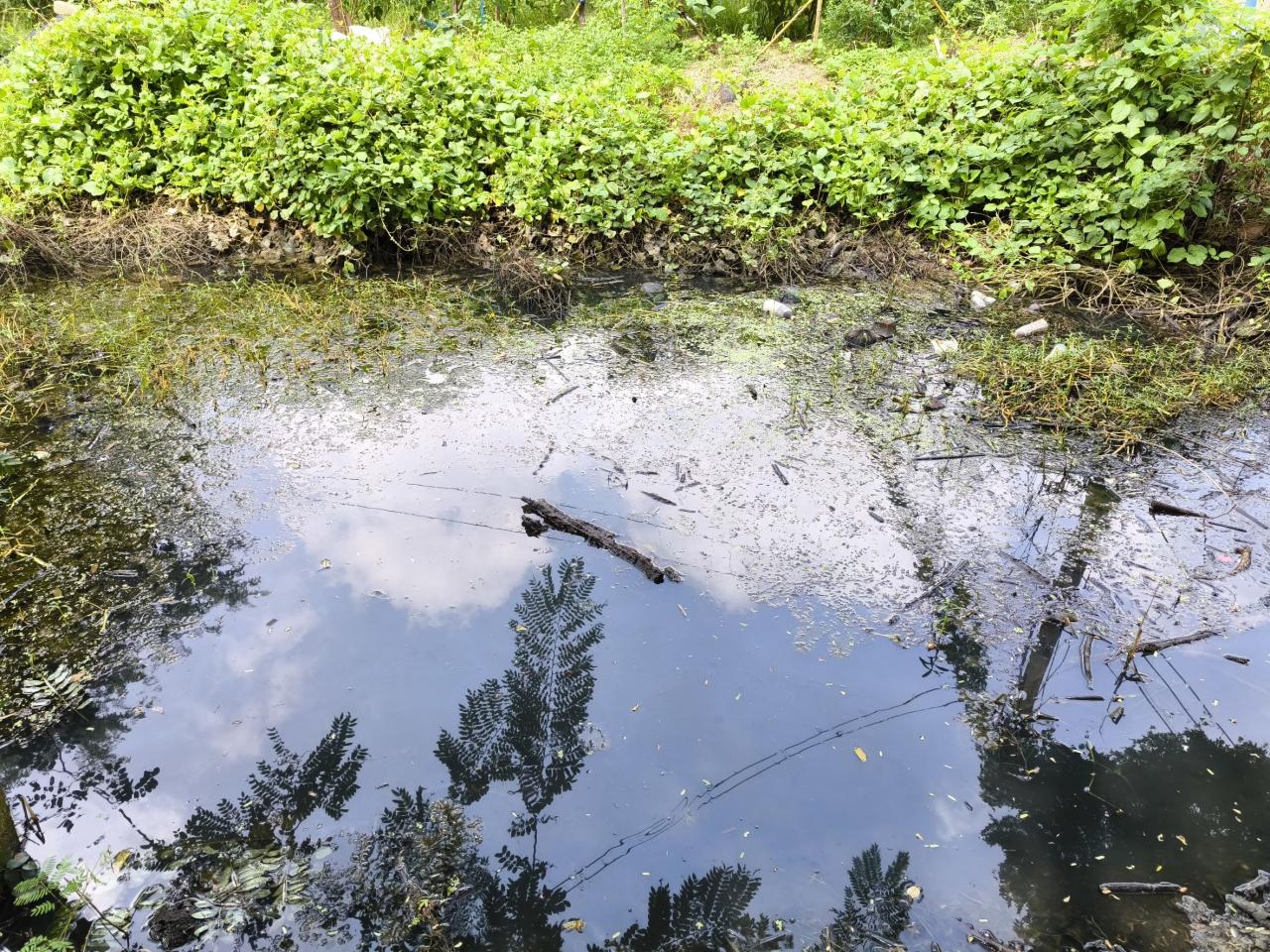 ภาพประกอบที่ 12