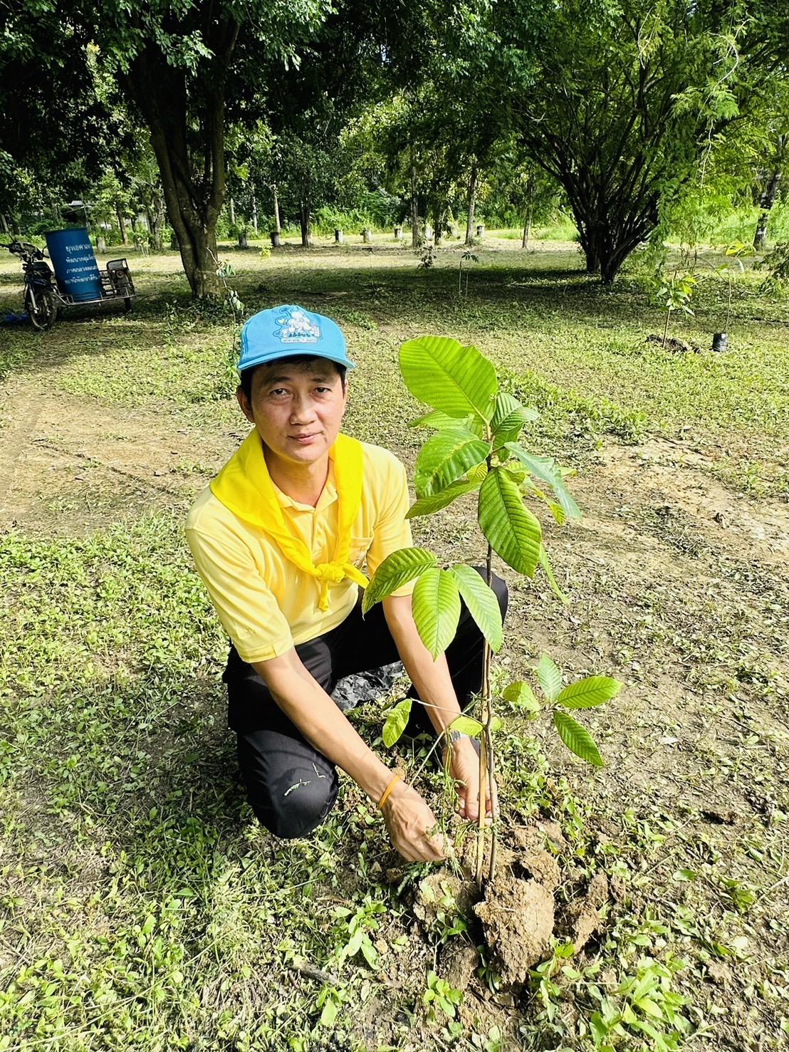 ภาพประกอบที่ 1