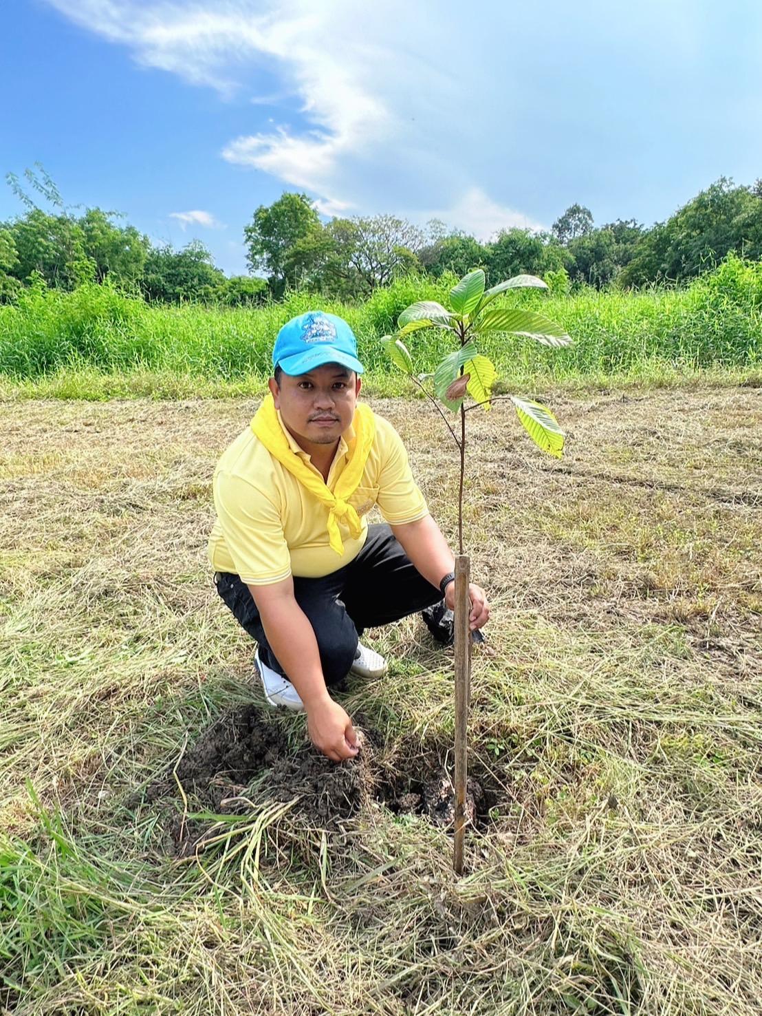ภาพประกอบที่ 2