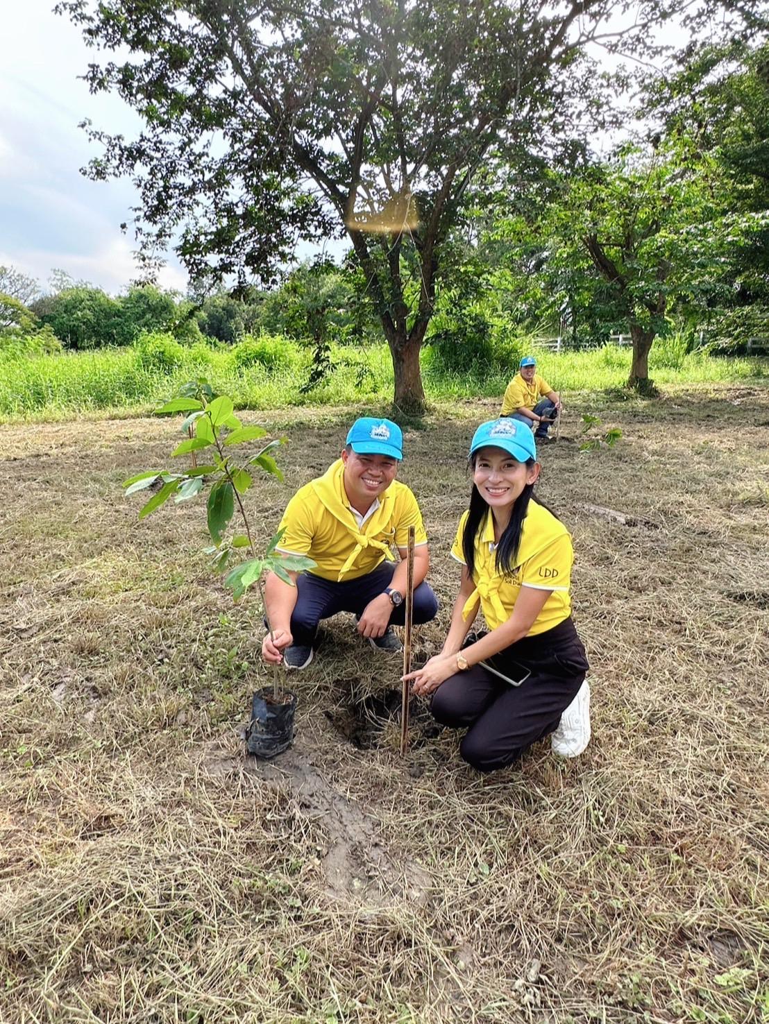 ภาพประกอบที่ 3