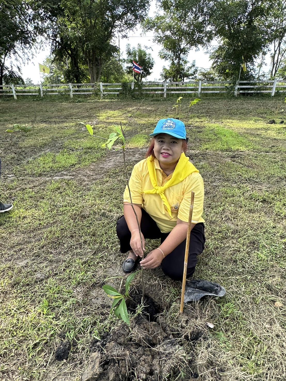 ภาพประกอบที่ 6