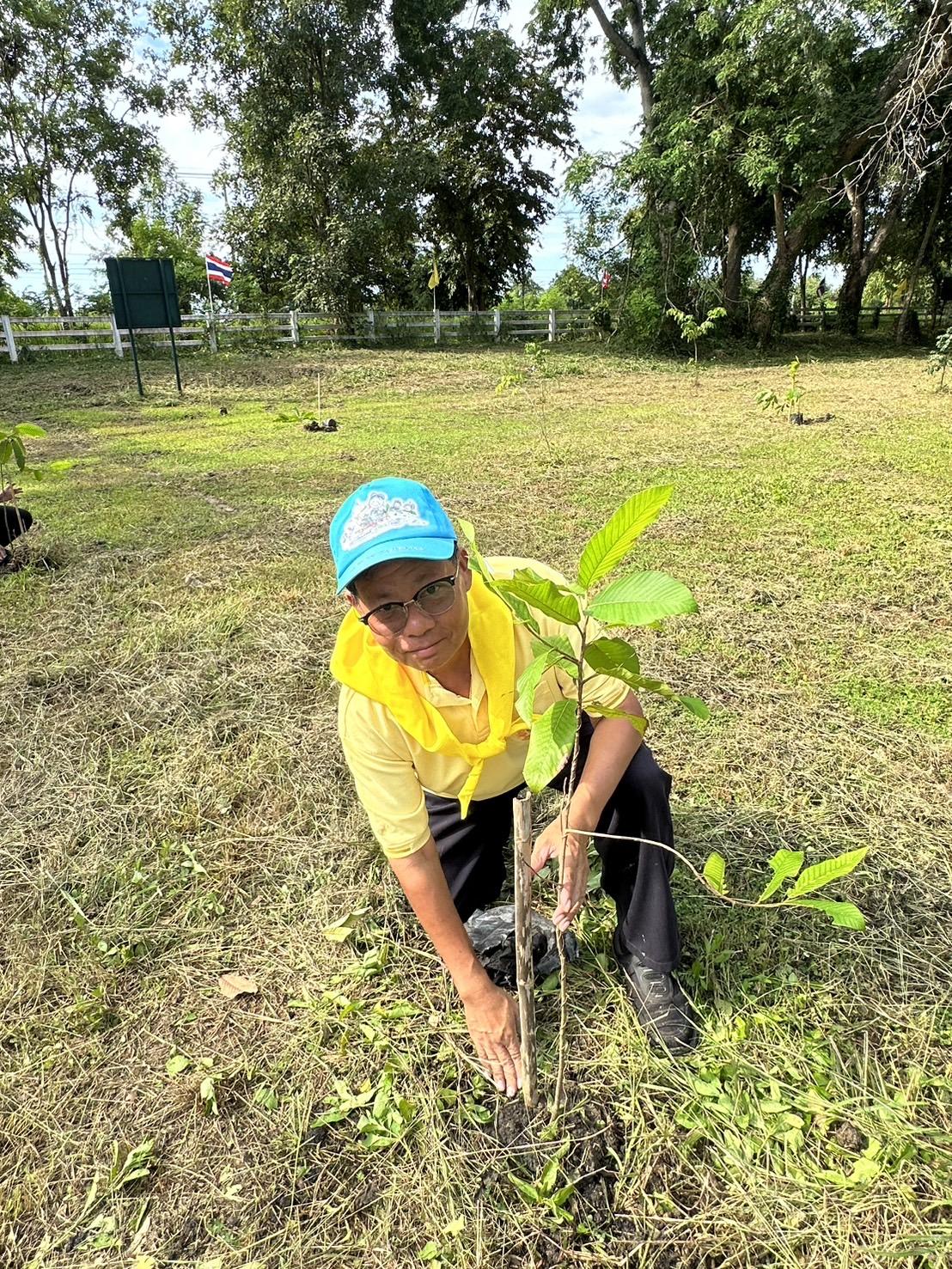 ภาพประกอบที่ 7