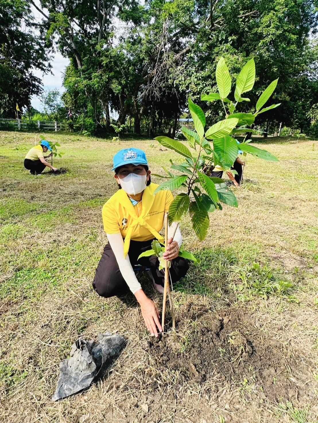 ภาพประกอบที่ 8