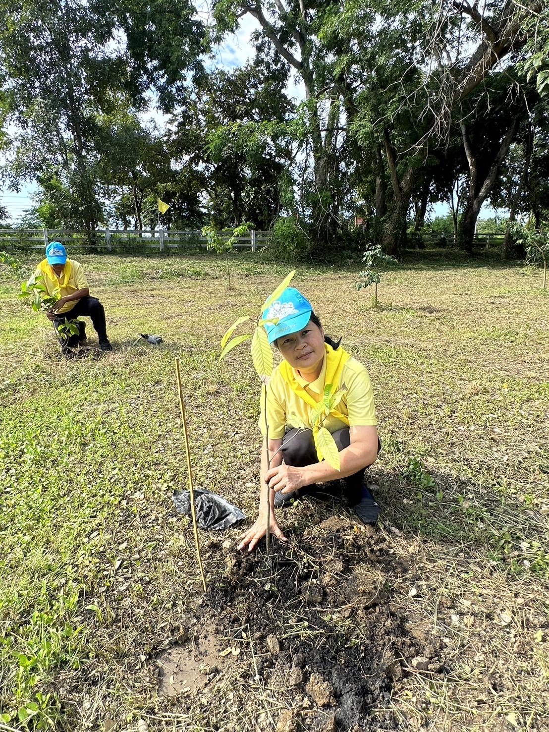 ภาพประกอบที่ 9