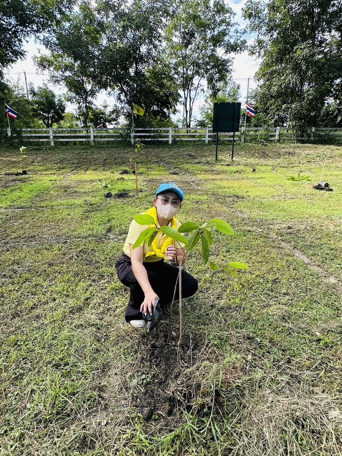 ภาพประกอบที่ 10