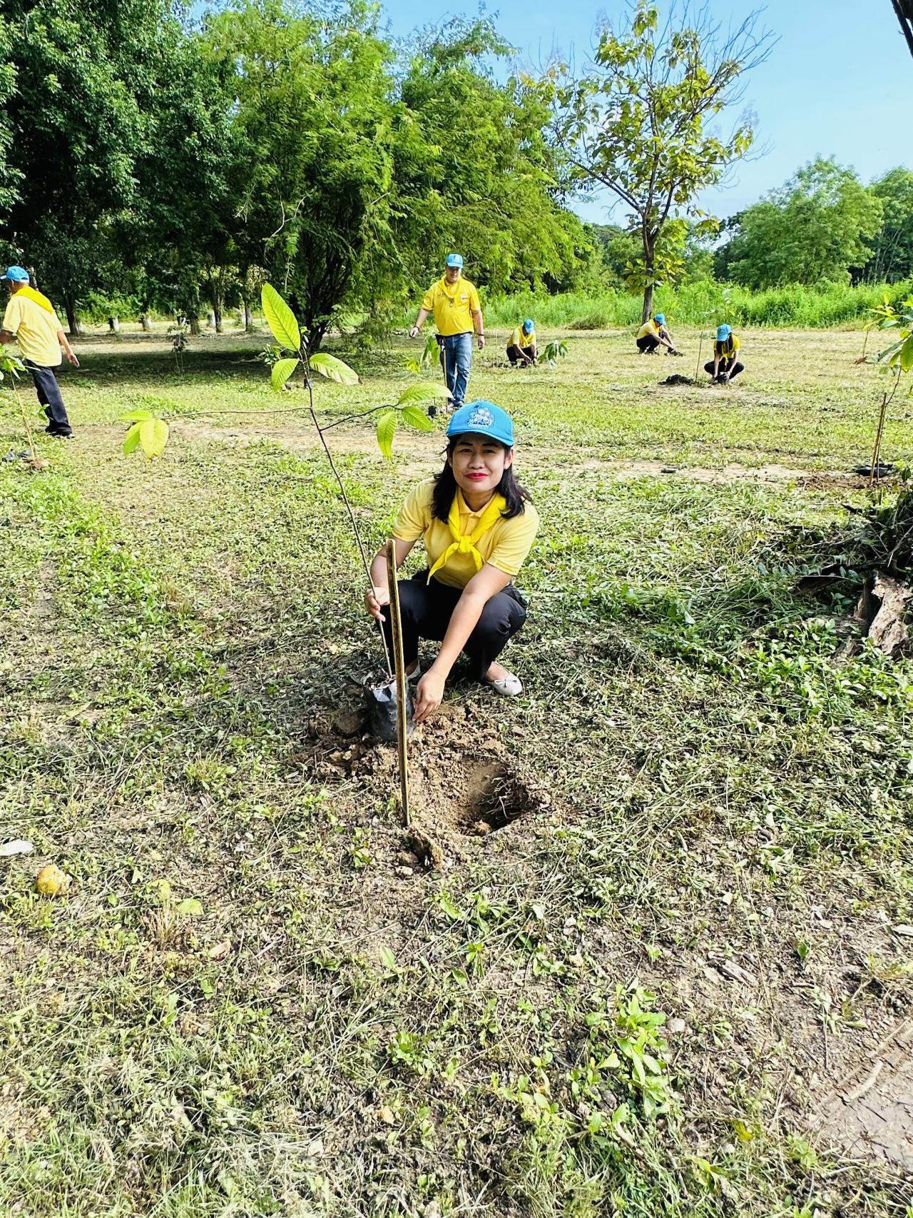 ภาพประกอบที่ 11