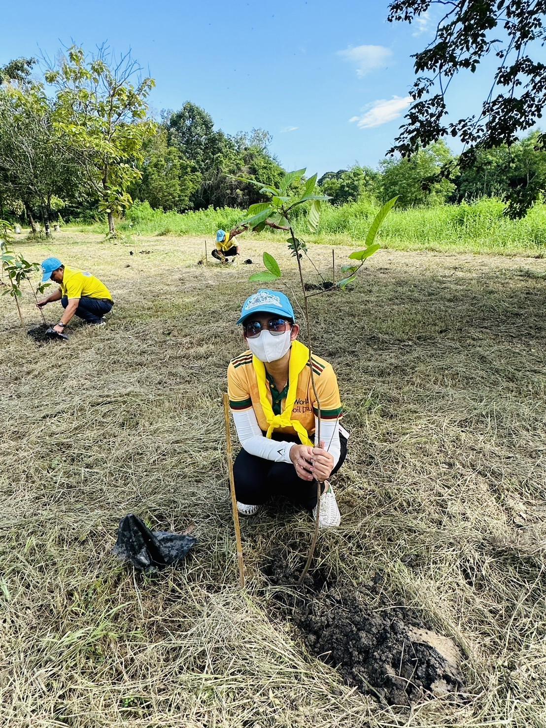 ภาพประกอบที่ 12