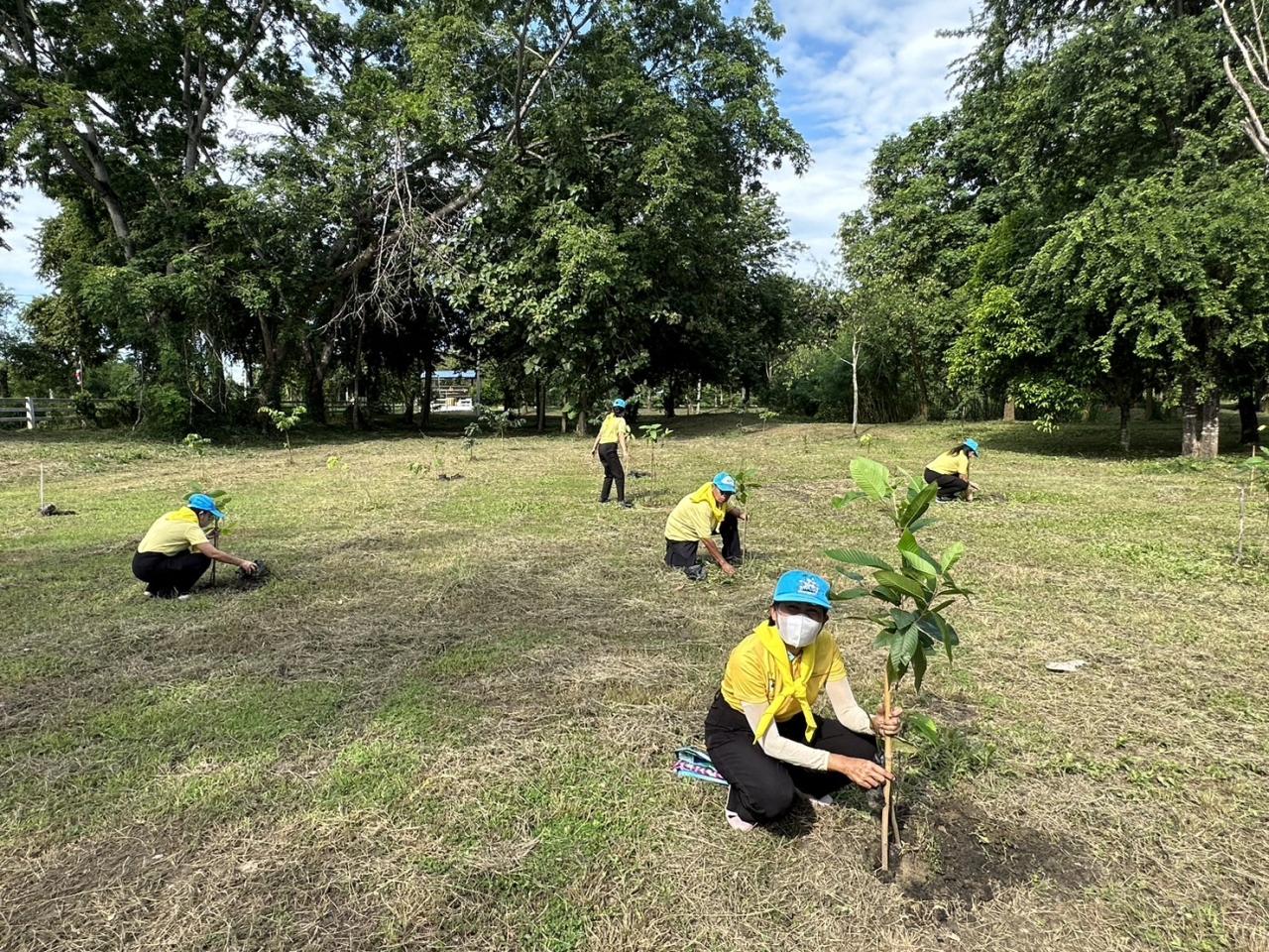 ภาพประกอบที่ 13