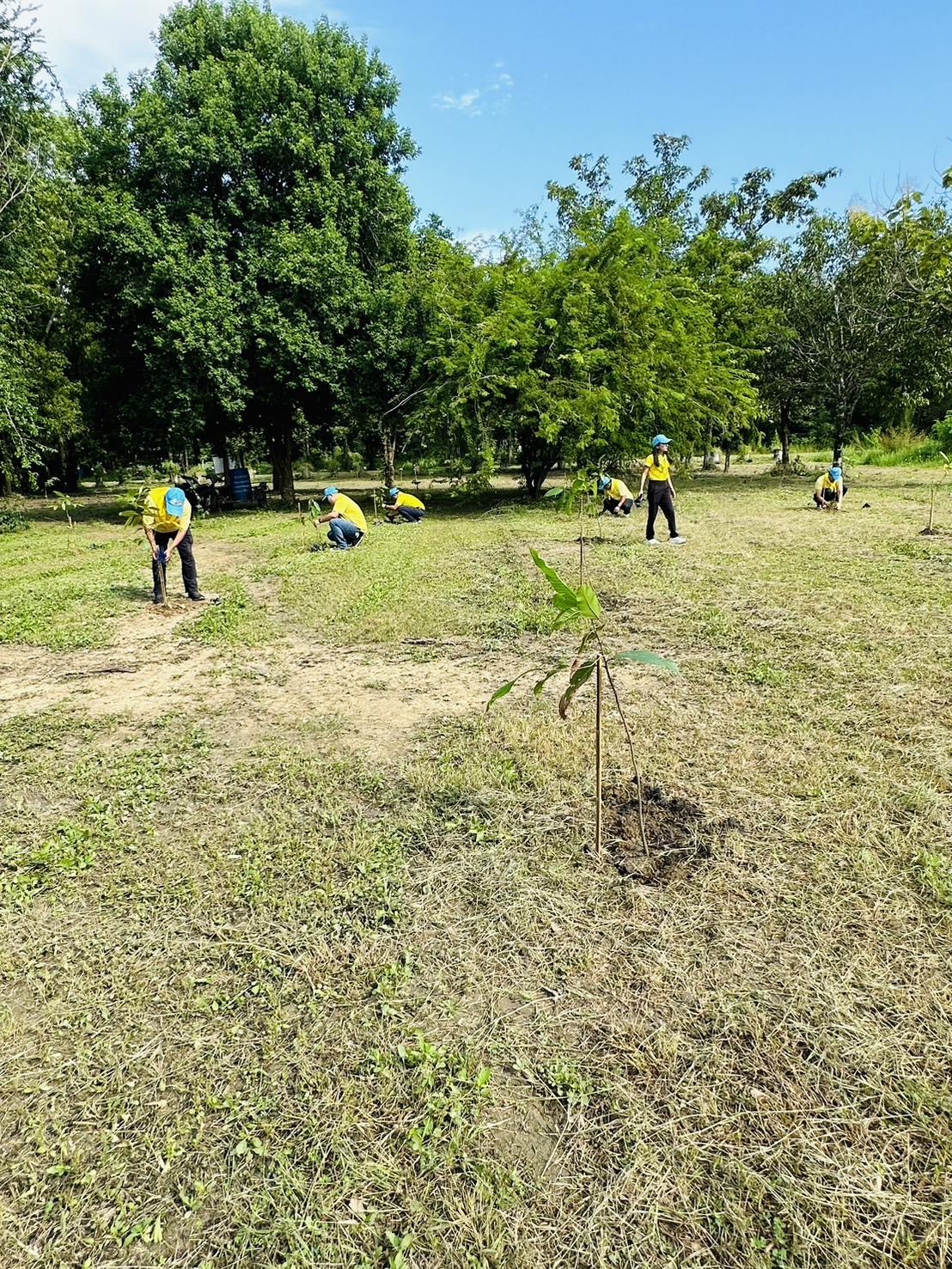 ภาพประกอบที่ 14
