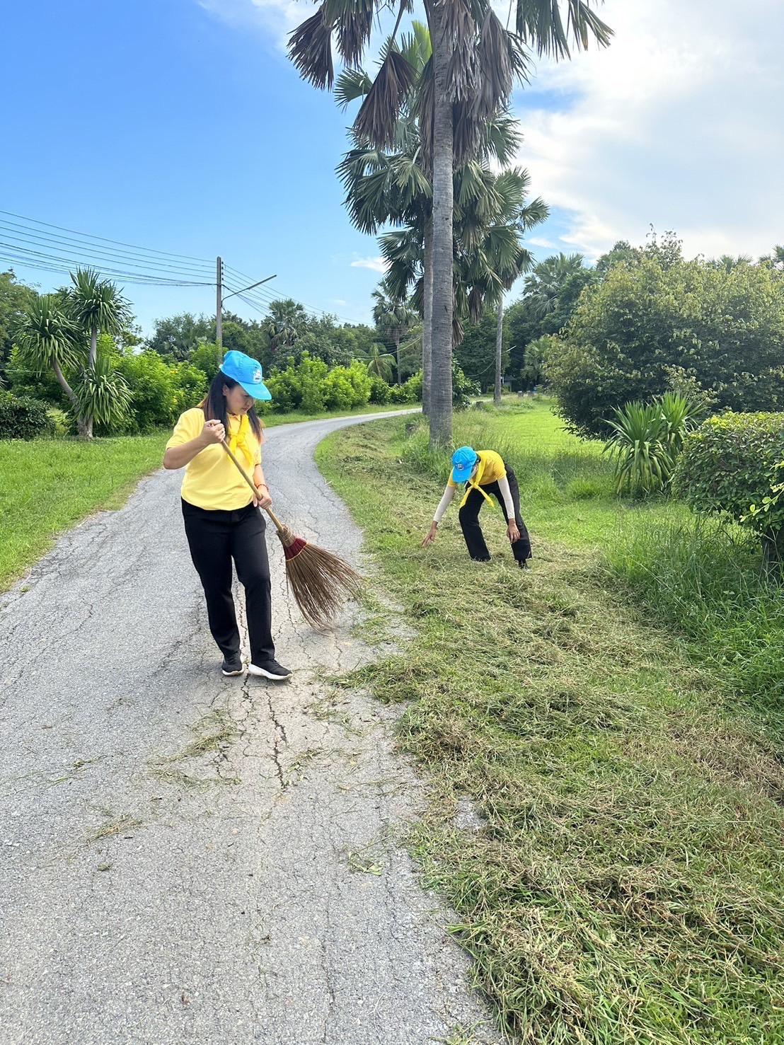 ภาพประกอบที่ 1
