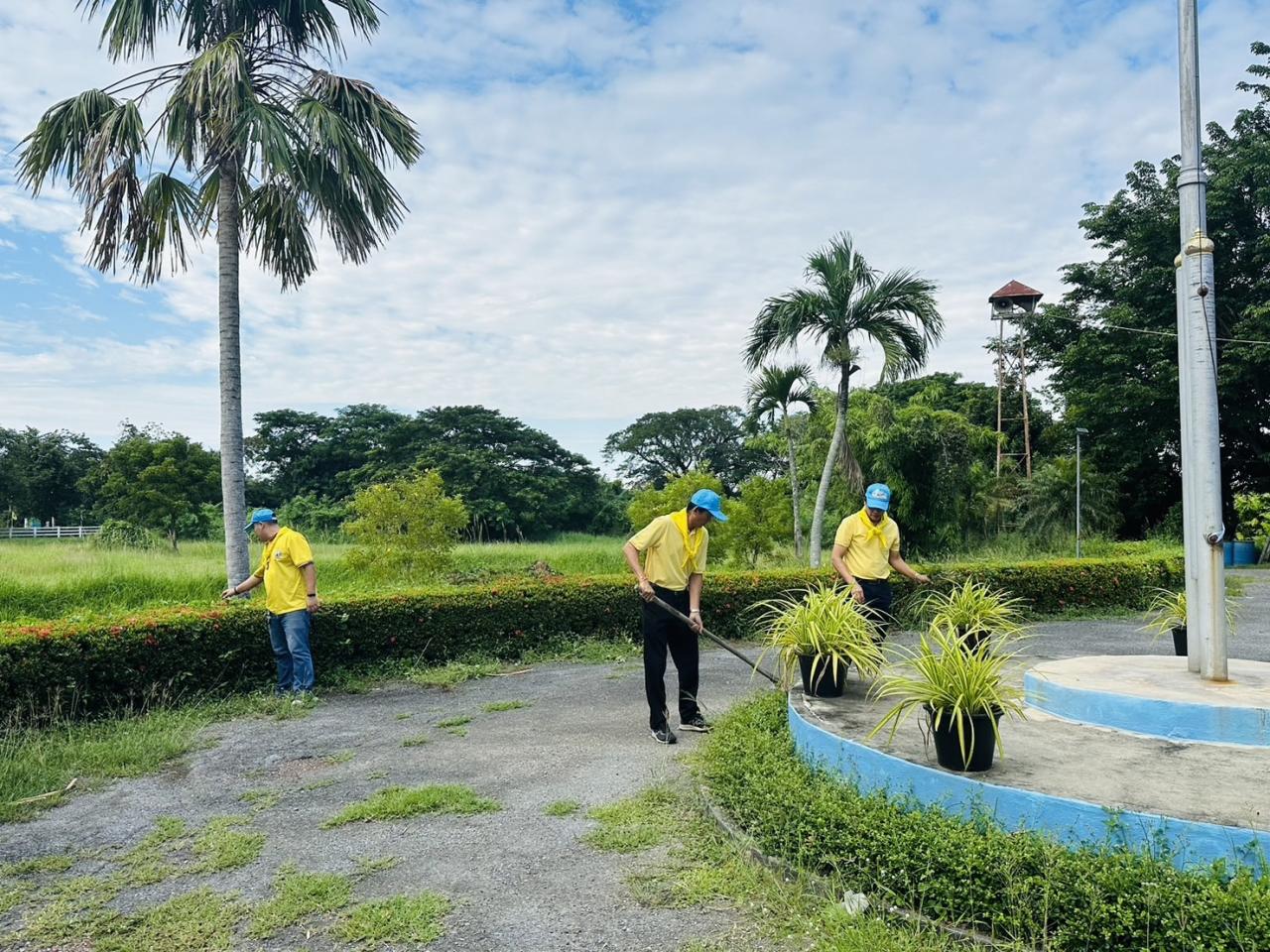 ภาพประกอบที่ 2