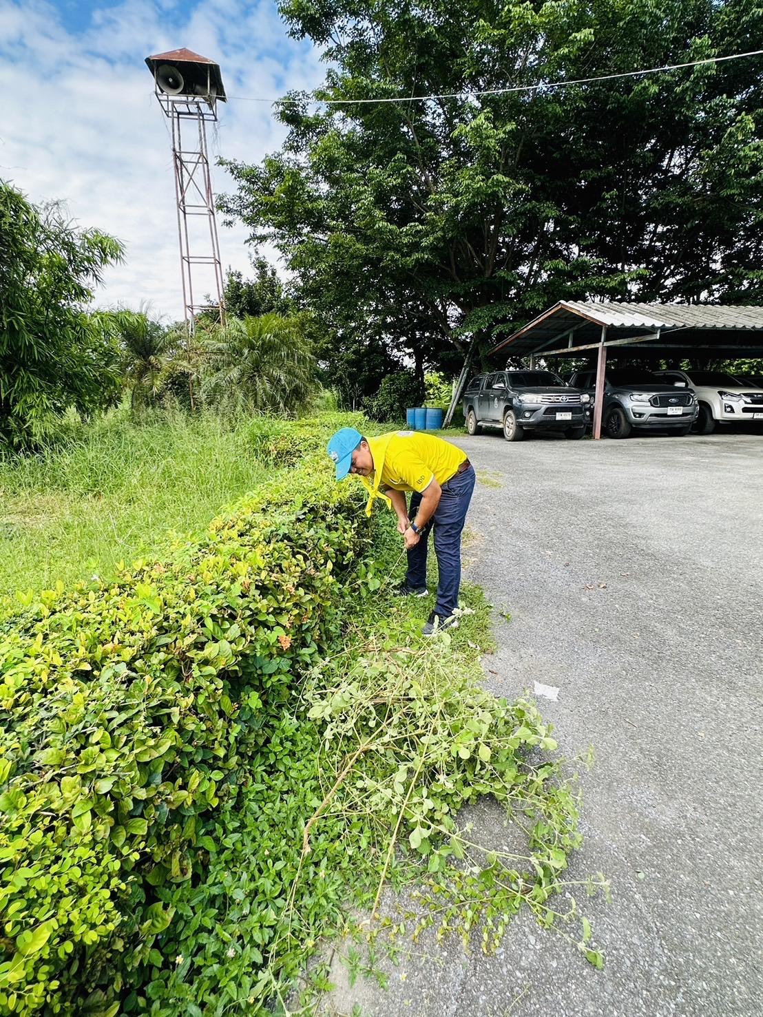 ภาพประกอบที่ 3