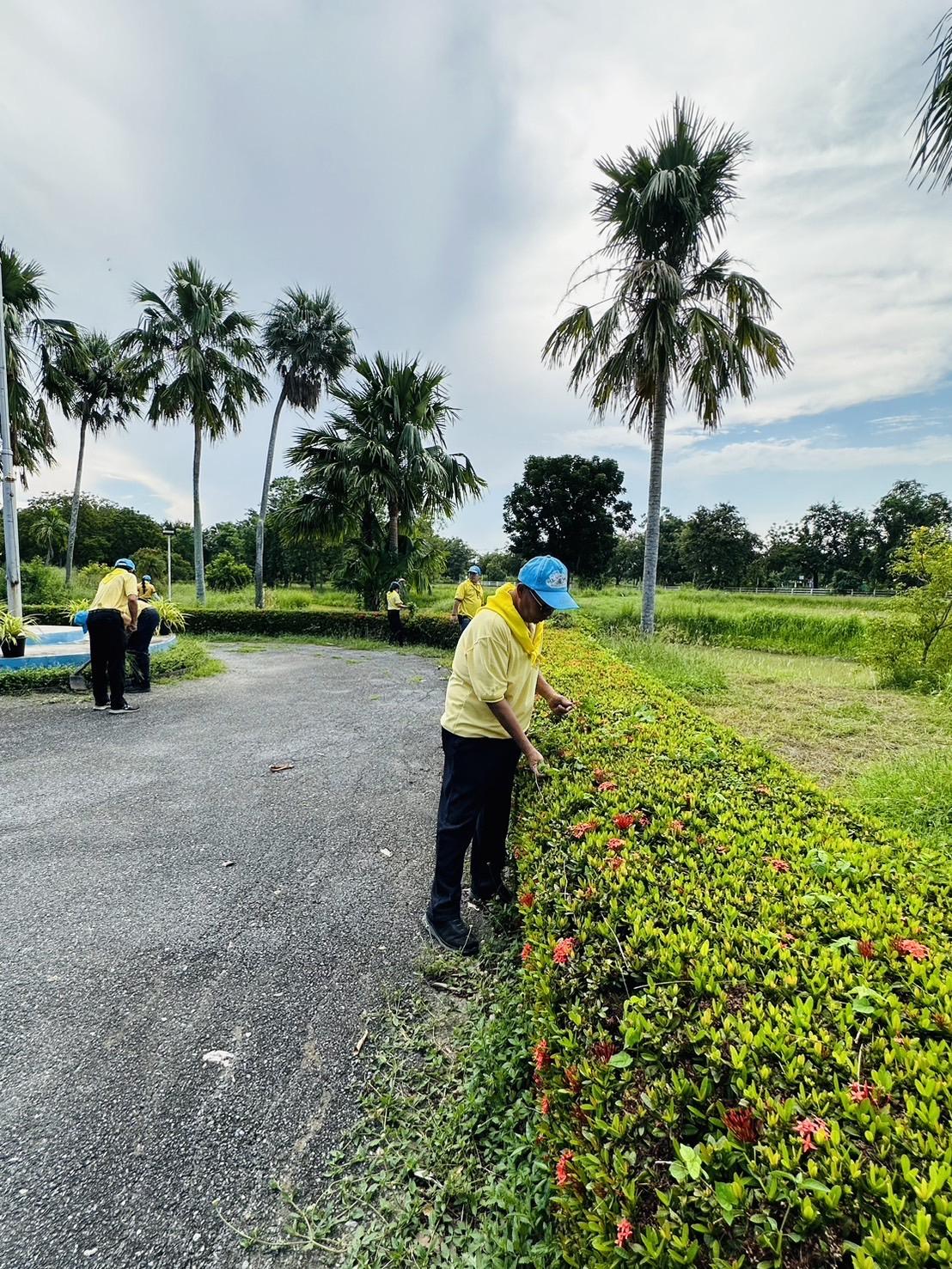 ภาพประกอบที่ 4