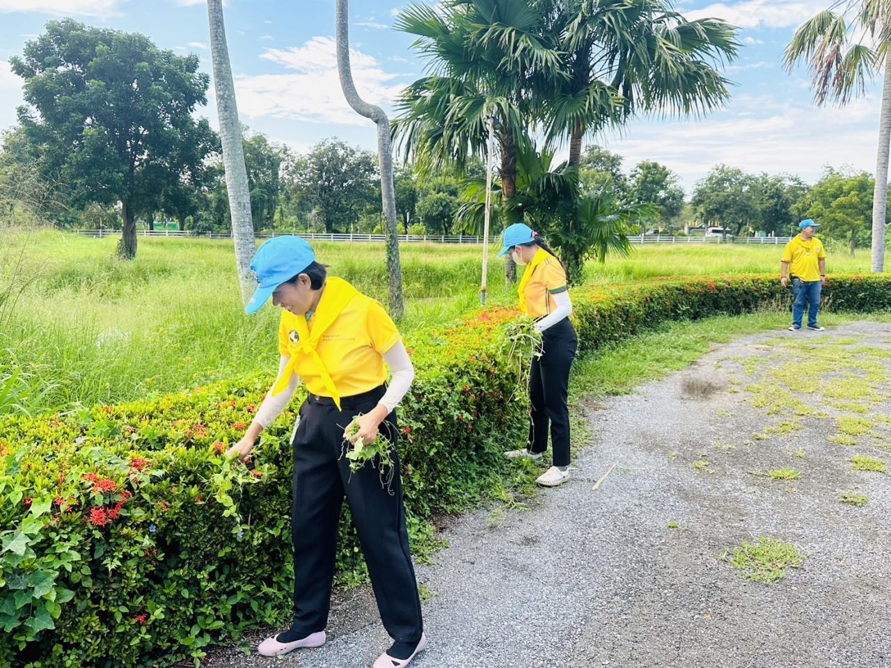 ภาพประกอบที่ 5