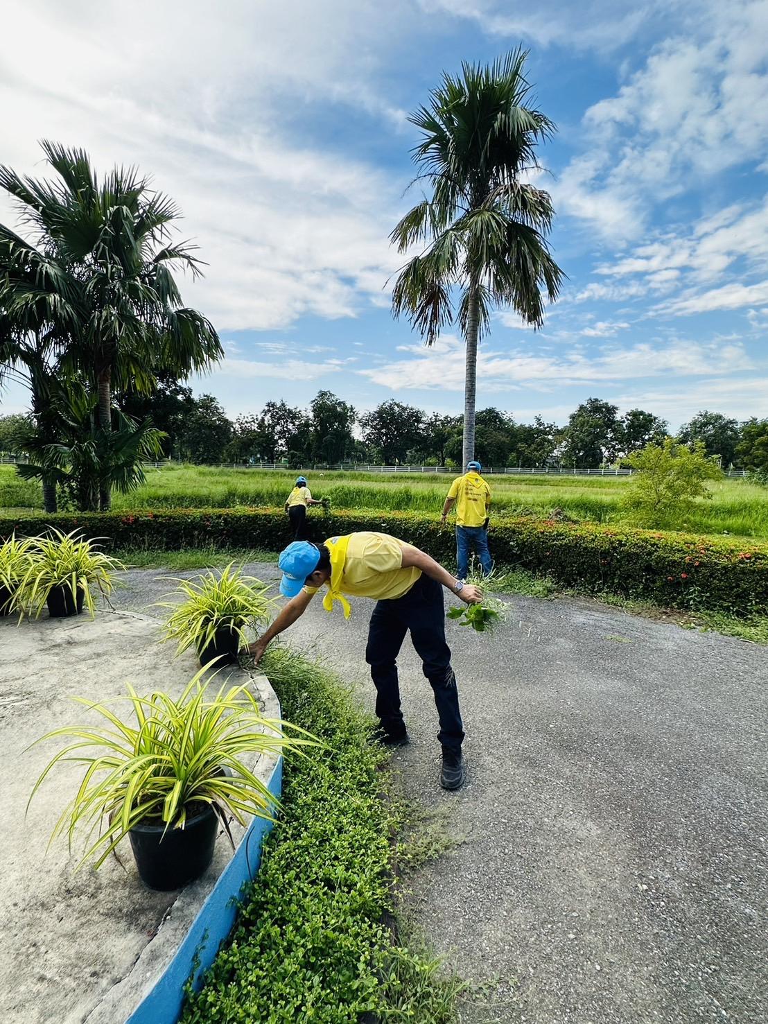 ภาพประกอบที่ 6