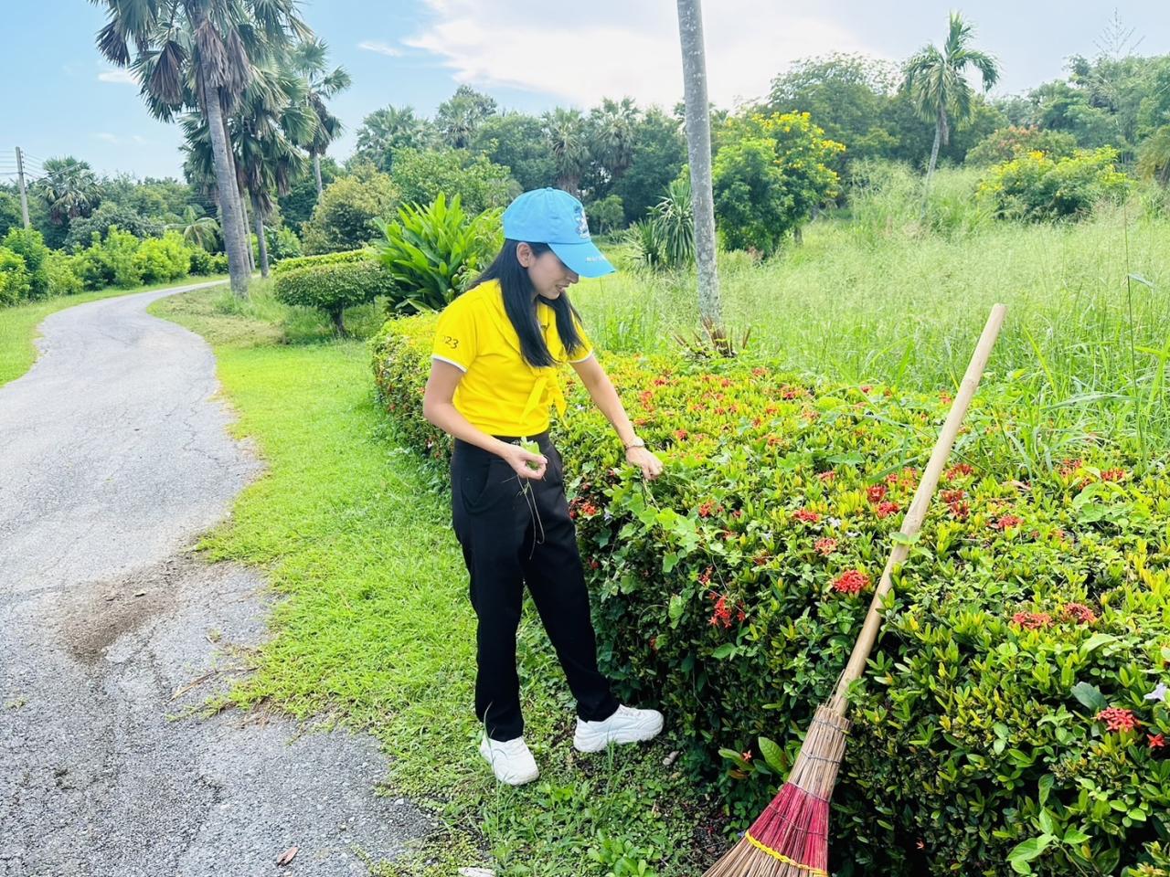 ภาพประกอบที่ 7