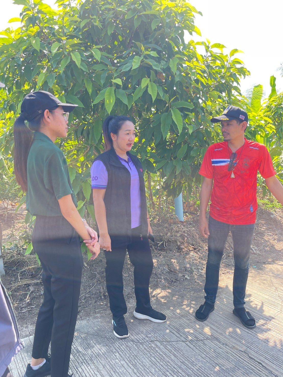 ภาพประกอบที่ 4