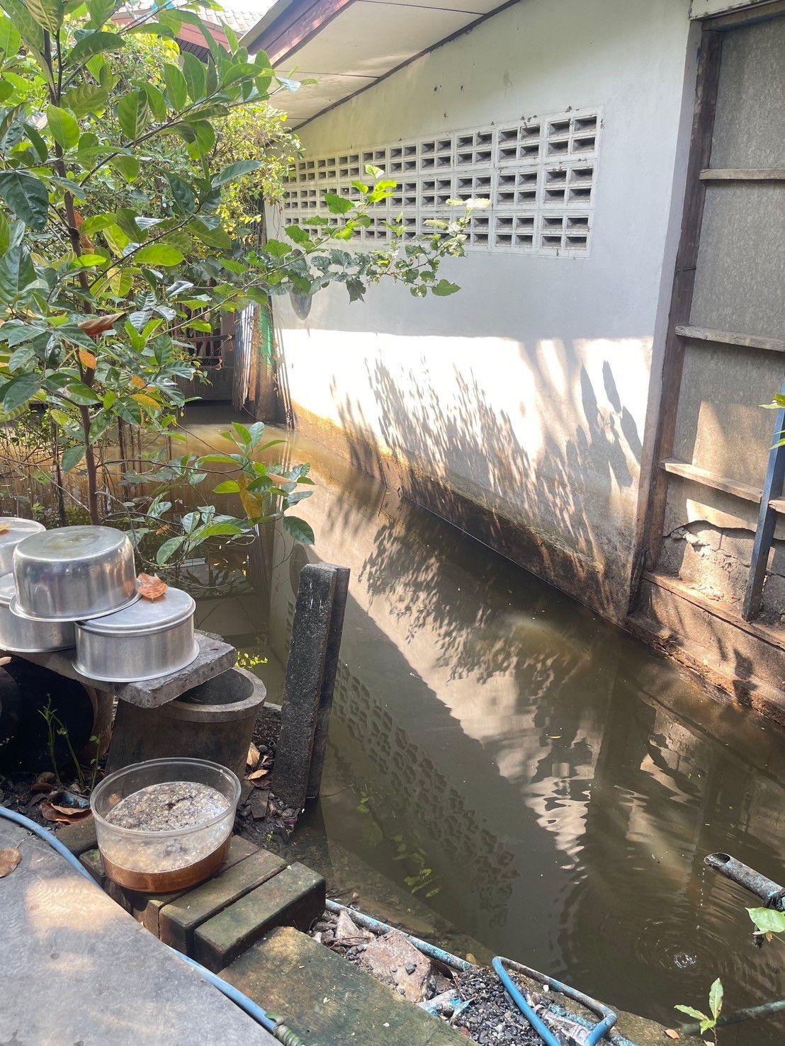 ภาพประกอบที่ 10