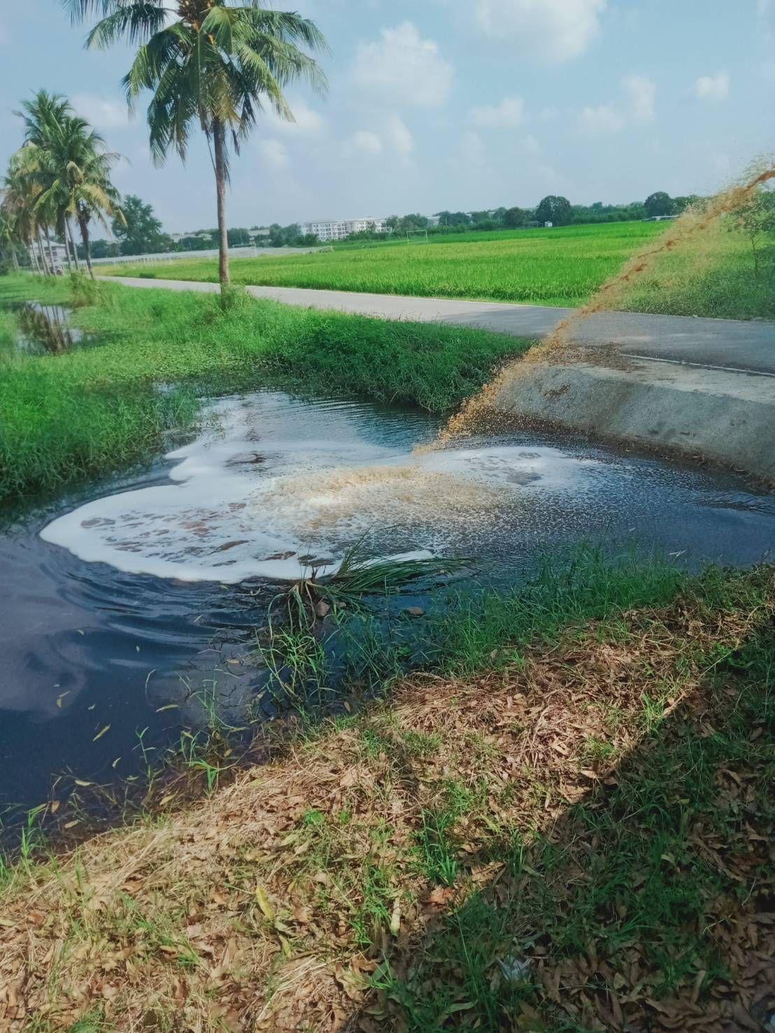 ภาพประกอบที่ 5