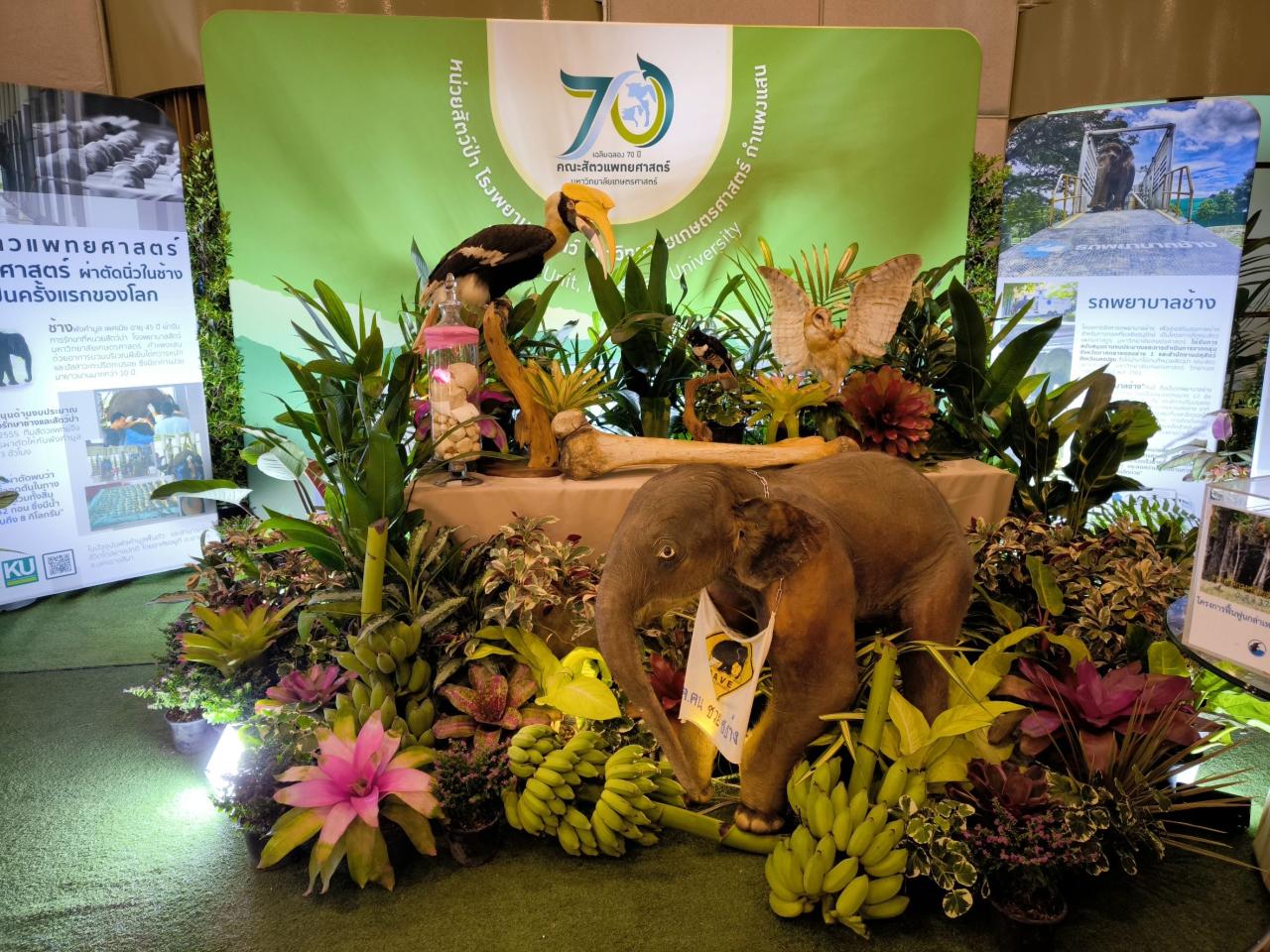 ภาพประกอบที่ 5