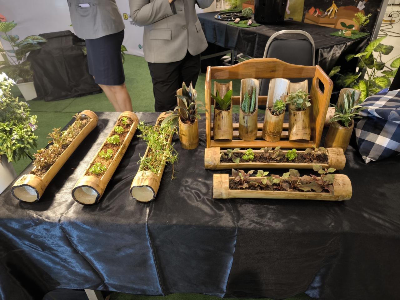 ภาพประกอบที่ 8