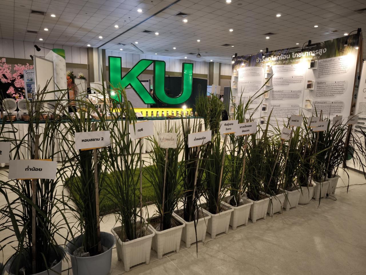 ภาพประกอบที่ 10