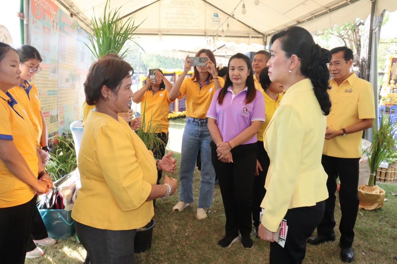 ภาพประกอบที่ 8