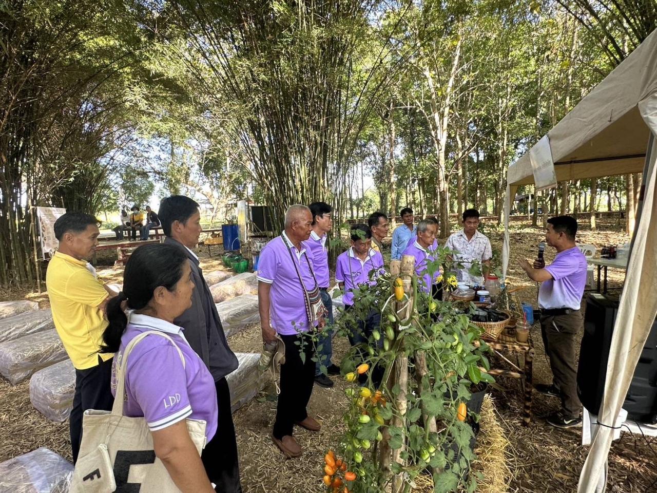 ภาพประกอบที่ 2