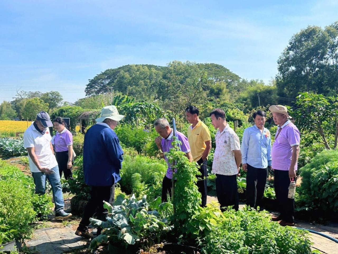 ภาพประกอบที่ 19