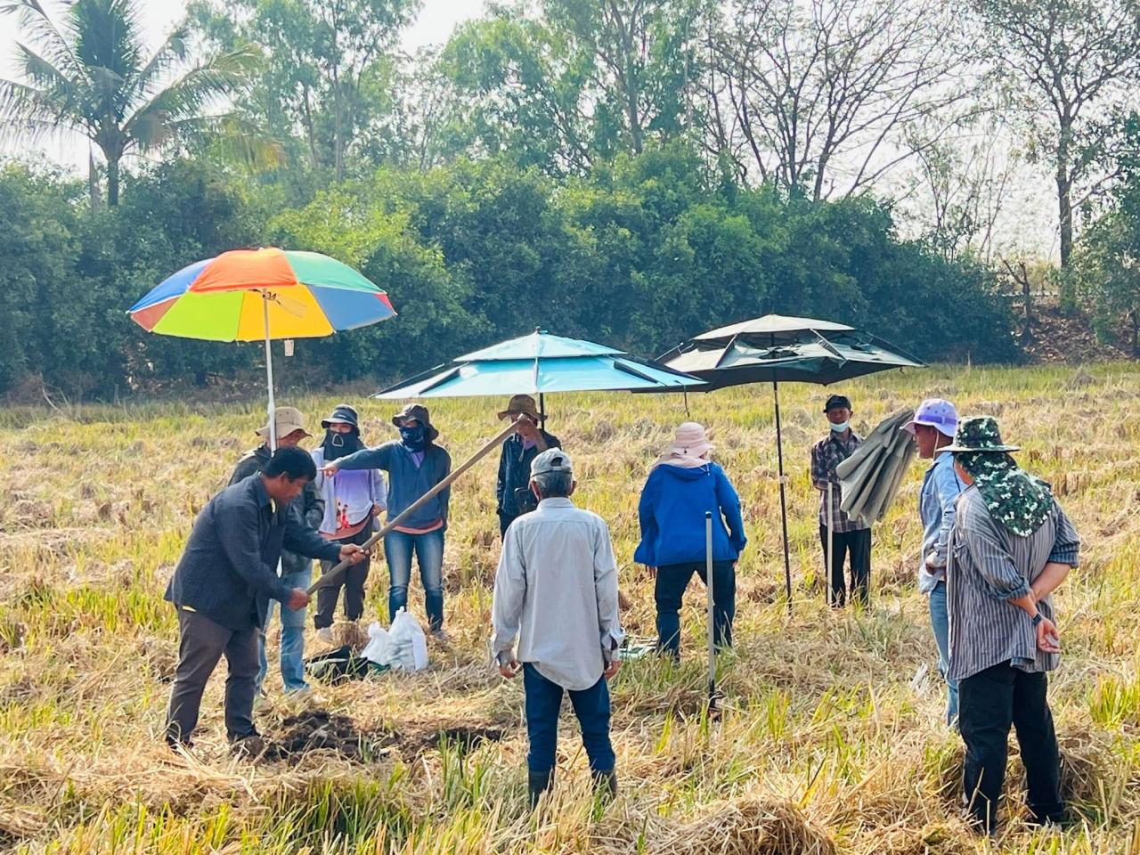 ภาพประกอบที่ 0