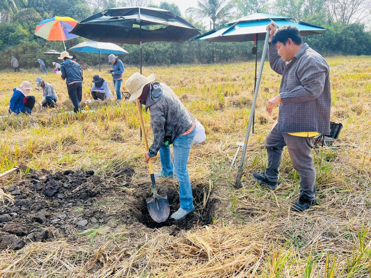 ภาพประกอบที่ 1