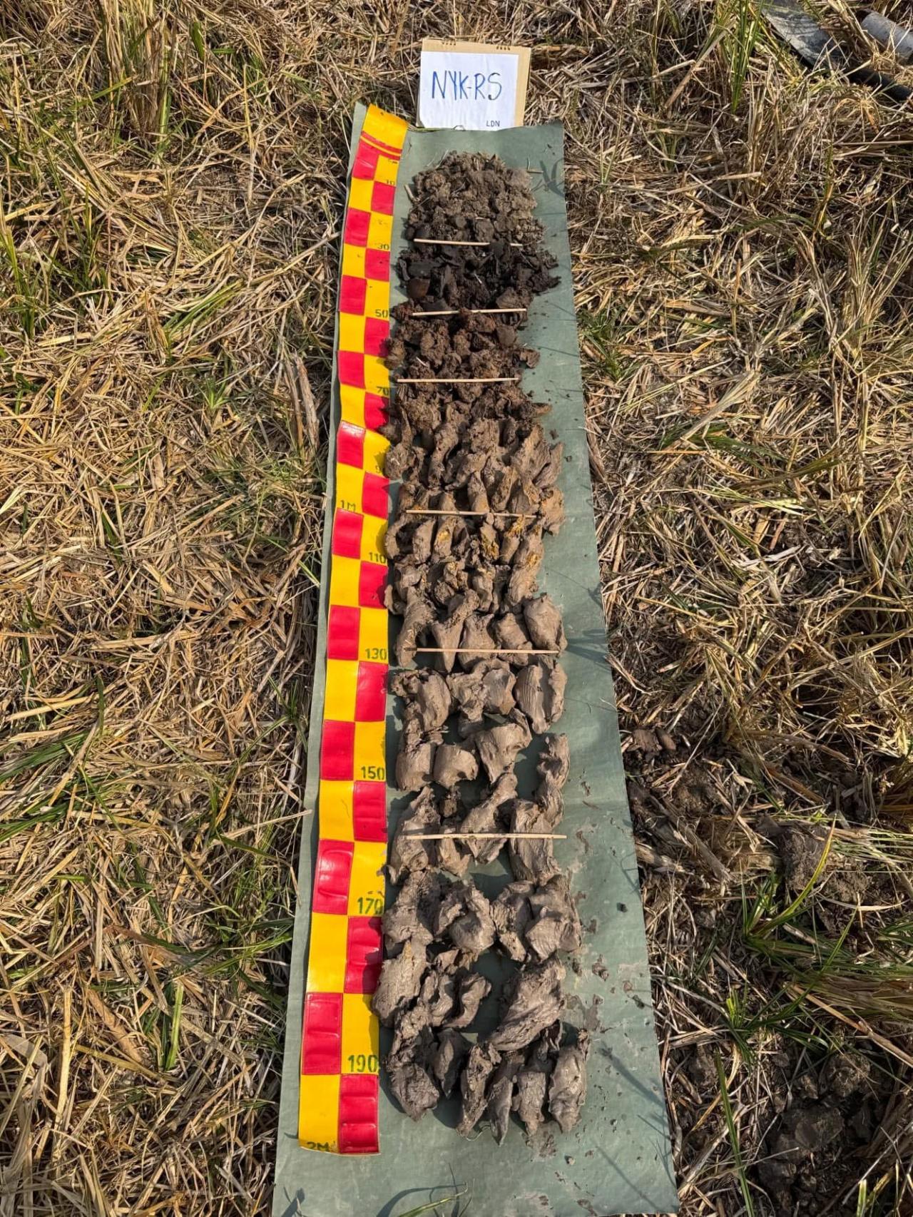 ภาพประกอบที่ 3