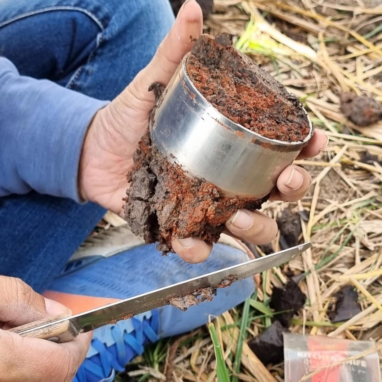 ภาพประกอบที่ 5