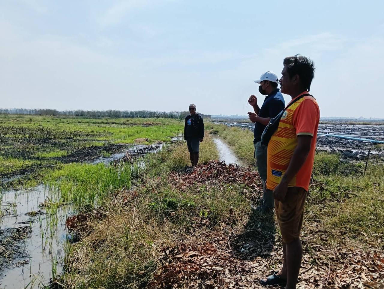 ภาพประกอบที่ 3